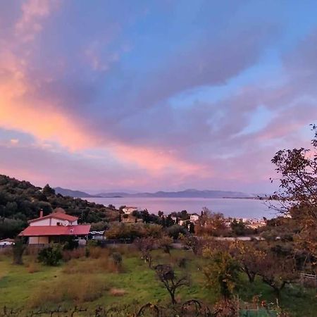 Ολόκληρος Όροφος Αγροτική Οικία Apartment Неос Пиргос Екстериор снимка