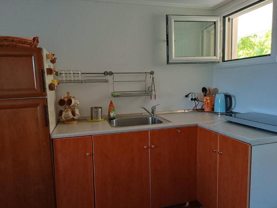 Ολόκληρος Όροφος Αγροτική Οικία Apartment Неос Пиргос Екстериор снимка