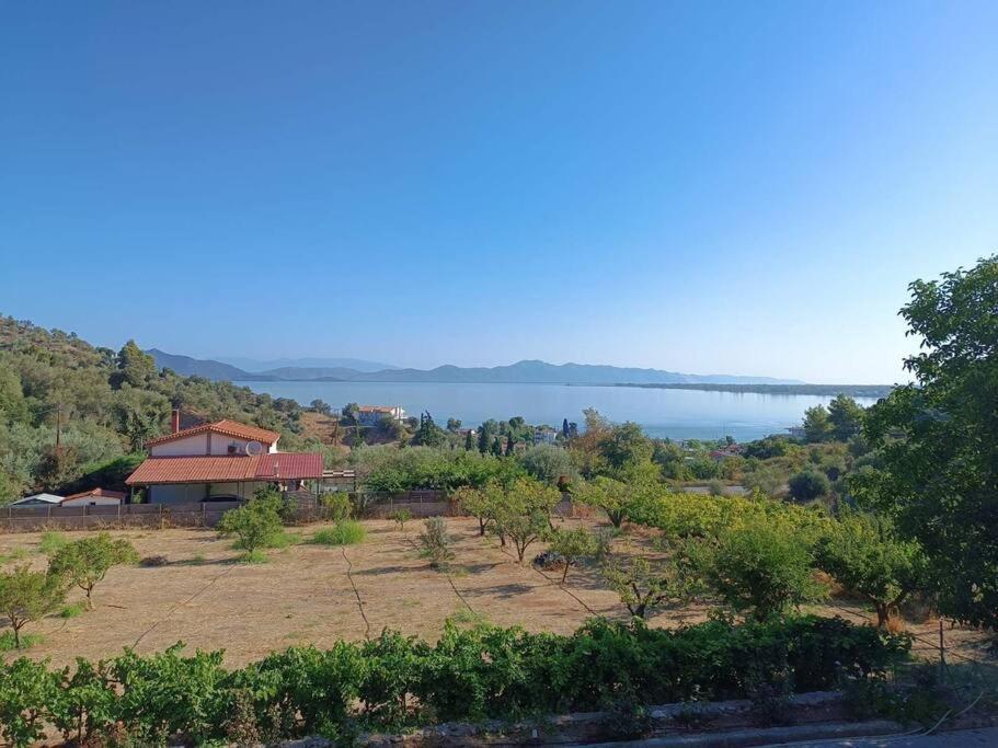 Ολόκληρος Όροφος Αγροτική Οικία Apartment Неос Пиргос Екстериор снимка