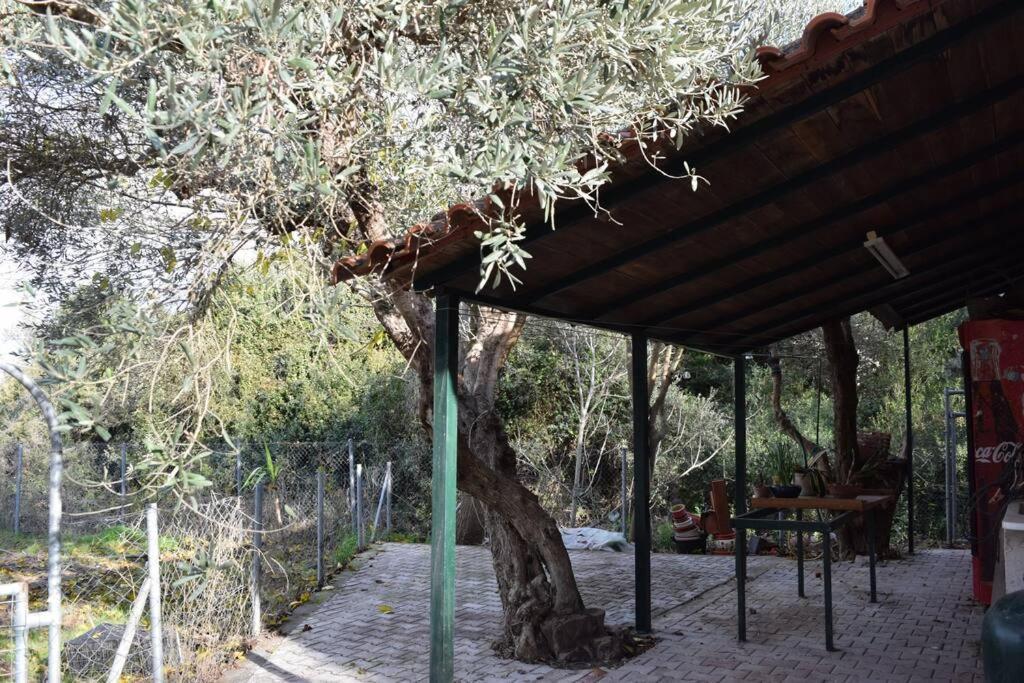 Ολόκληρος Όροφος Αγροτική Οικία Apartment Неос Пиргос Екстериор снимка