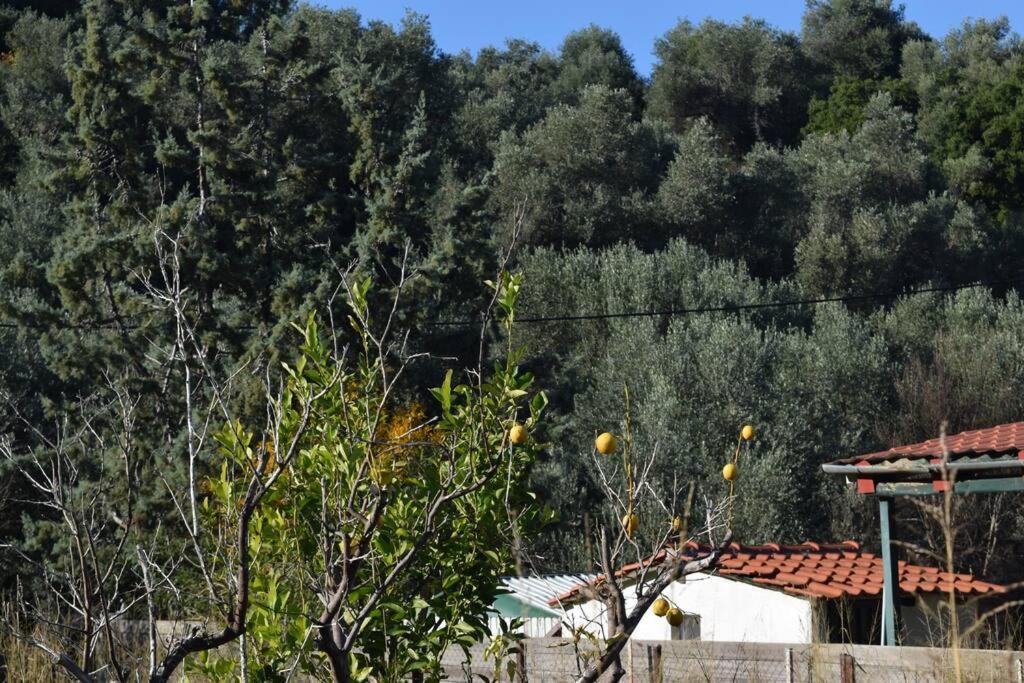 Ολόκληρος Όροφος Αγροτική Οικία Apartment Неос Пиргос Екстериор снимка